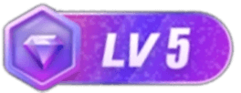 LV5 等级-LV5-多工网